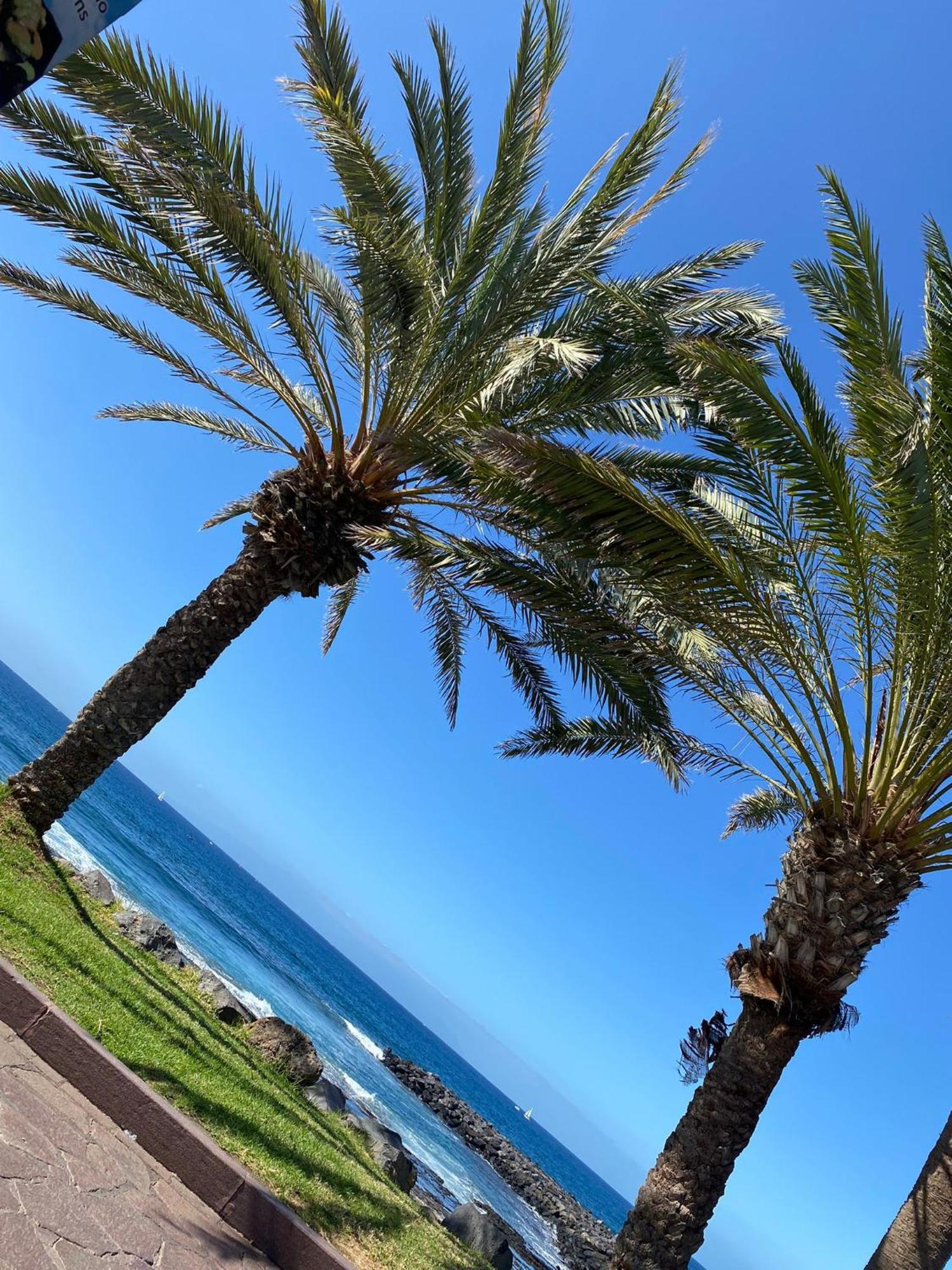 Coconut Apartament In Garden City Playa Feñabe المظهر الخارجي الصورة
